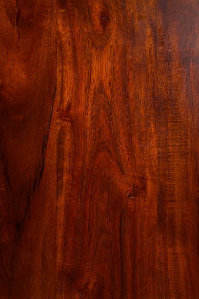 Mahogany 